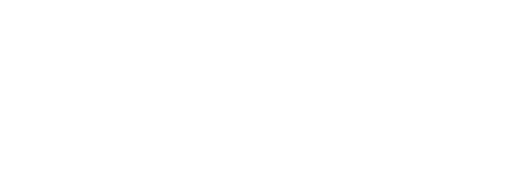 Lirvis